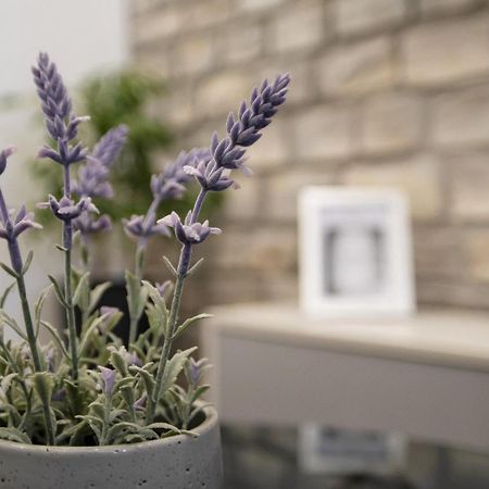 זאדאר Apartment Stela - Private Terrace & Parking מראה חיצוני תמונה